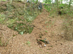 Gelligroes level quarry, August 2011